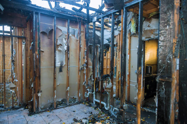 Professional Fire Damage Assessment technician working in Ovid, MI